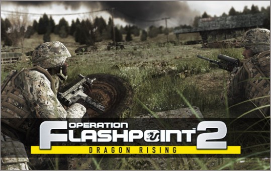 Operation flashpoint 2 требования